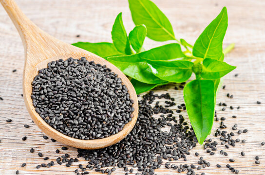 Product: Basil Seeds